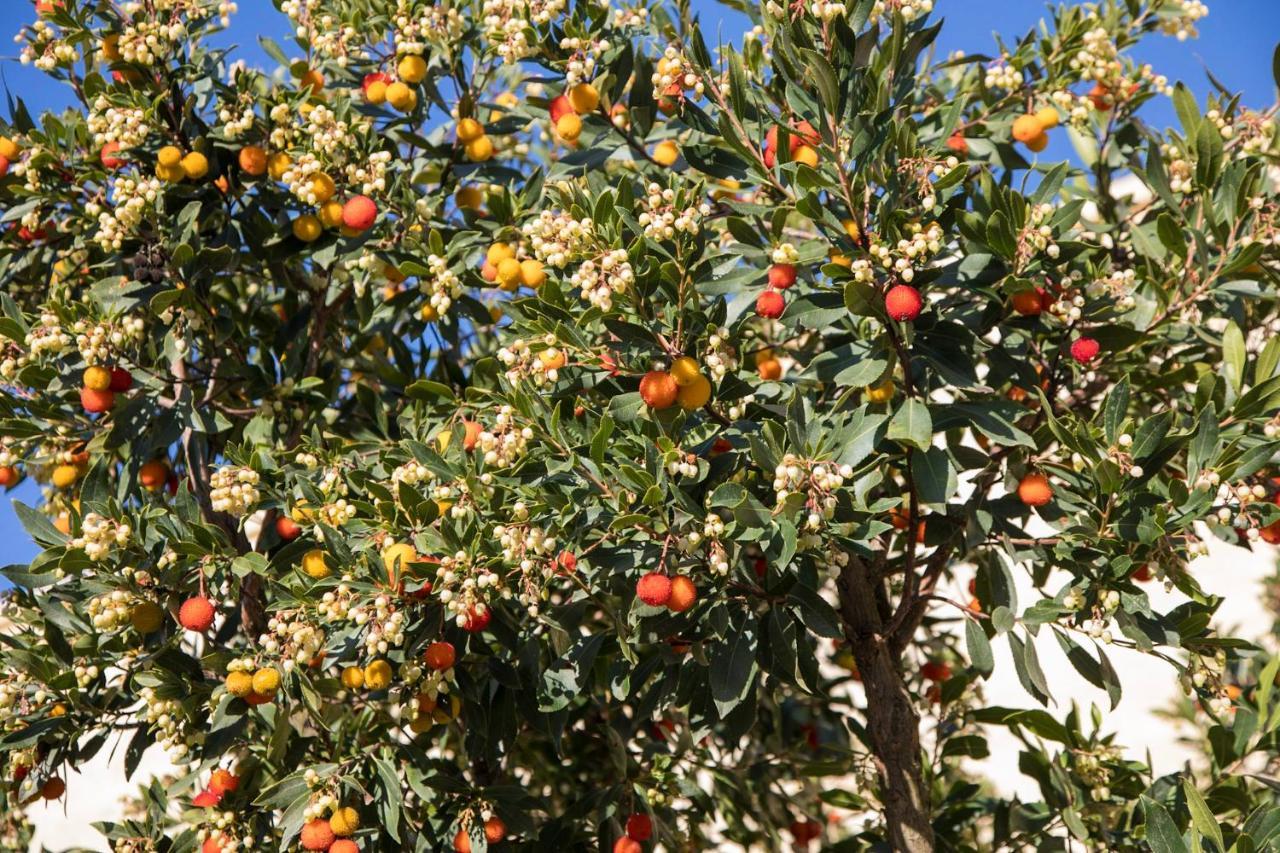 Masseria Lilei Lizzanello Exterior photo